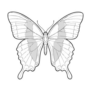 Free printable Blume's Ulysses butterfly coloring page
