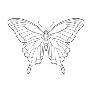 Free printable Chinese Peacock coloring page