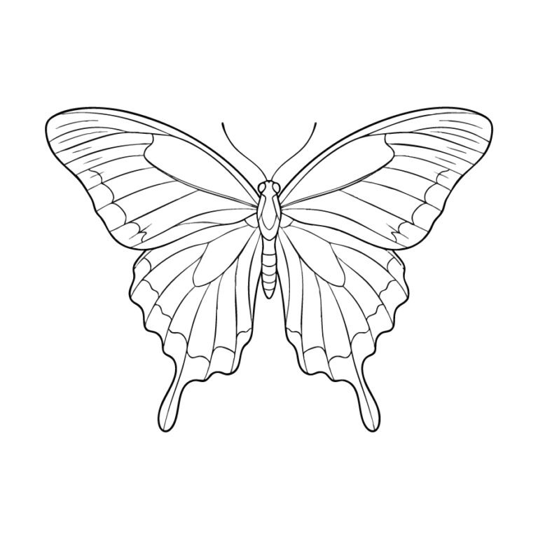 Free printable Chinese Peacock coloring page