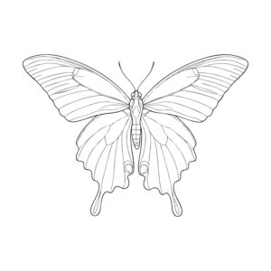 Free printable Chinese Peacock Butterfly 2 coloring page