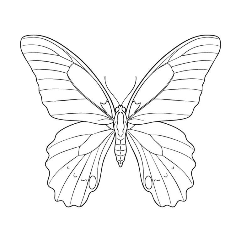 Free printable Great Mormon coloring page