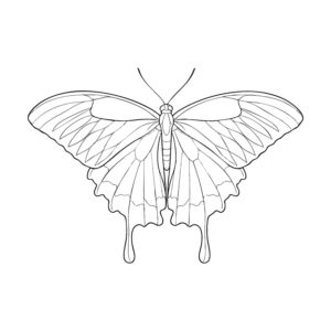 Free printable Ulysses butterfly coloring page