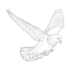 Free printable Pigeon 3 coloring page