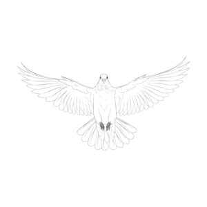 Free printable Dove 4 coloring page
