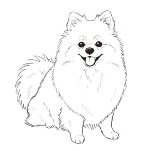 ポメラニアンの無料塗り絵イラスト（知育・高齢者レク用）