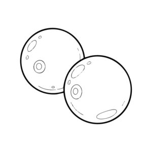 鮭 卵の無料塗り絵イラスト（知育・高齢者レク用）