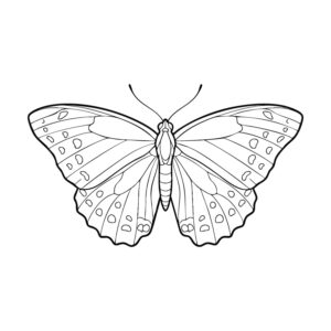 Free printable Great Purple Emperor coloring page