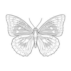 Free printable Great Purple Emperor coloring page