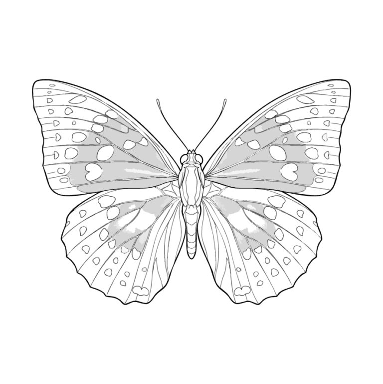 Free printable Great Purple Emperor coloring page