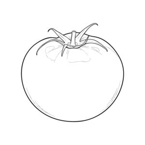 Free printable Tomato coloring page
