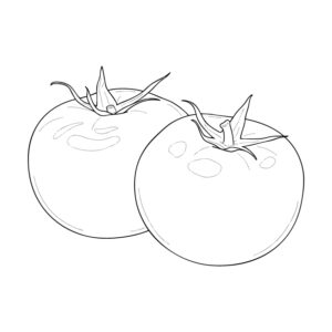 トマト２の無料塗り絵イラスト（知育・高齢者レク用）