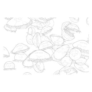 沢山のミズクラゲの無料塗り絵イラスト（知育・高齢者レク用）