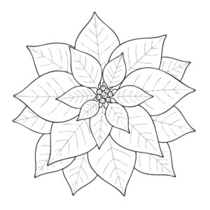 ポインセチアの無料塗り絵イラスト（知育・高齢者レク用）