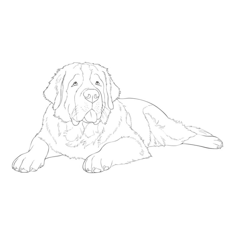 Free printable St. Bernard coloring page