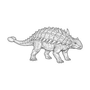アンキロサウルスの無料塗り絵イラスト（知育・高齢者レク用）