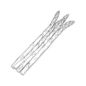Free printable Asparagus coloring page