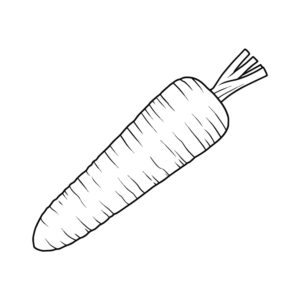 人参 １本 葉っぱ無しの無料塗り絵イラスト（知育・高齢者レク用）