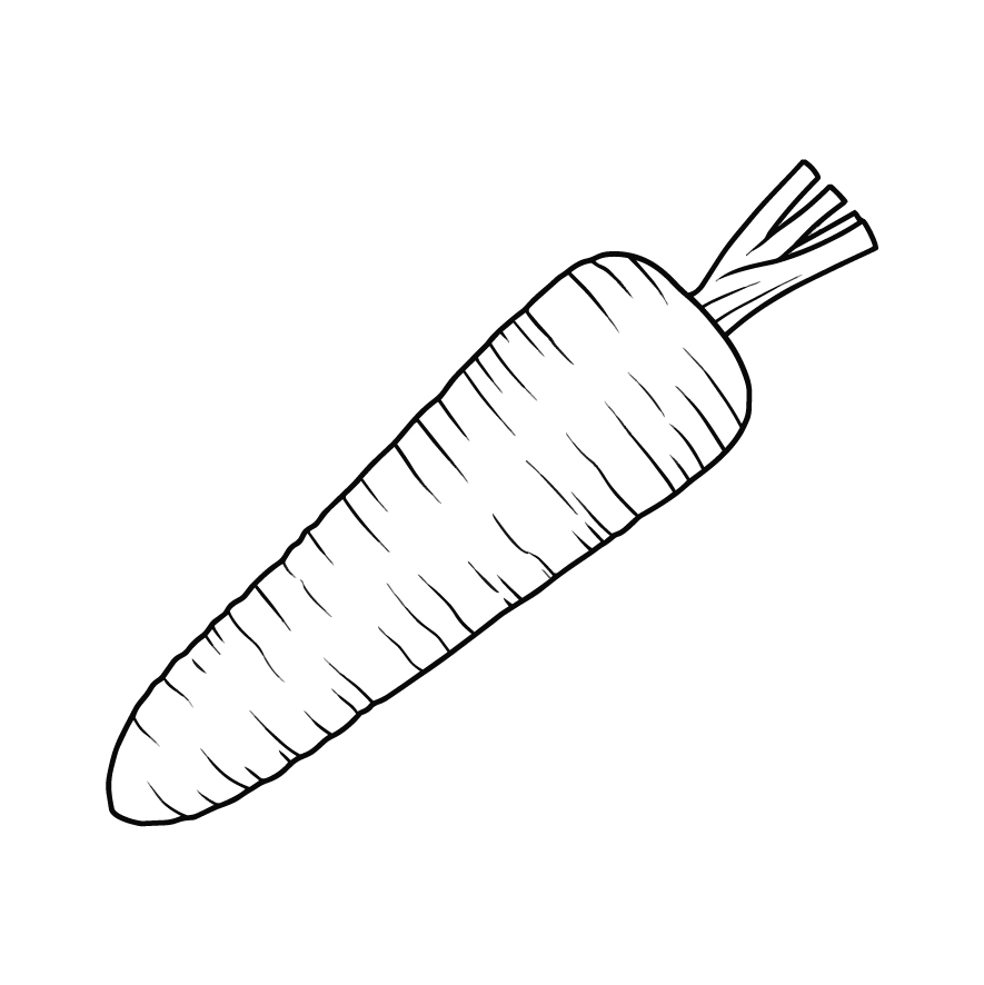 人参 １本 葉っぱ無し