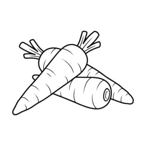人参 ３本の無料塗り絵イラスト（知育・高齢者レク用）