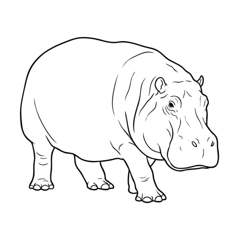 カバの無料塗り絵イラスト（知育・高齢者レク用）