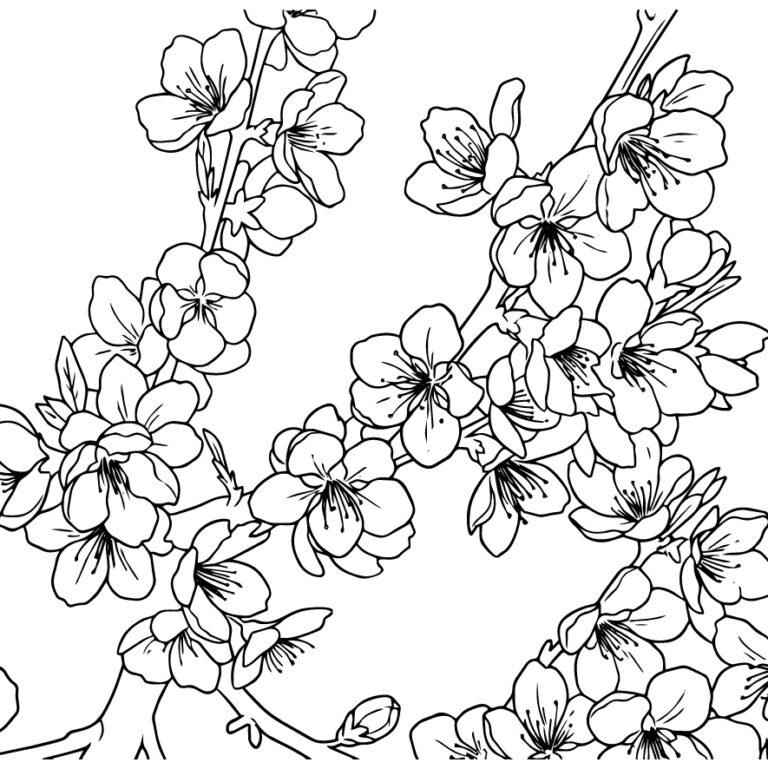 桃（桃の花）の無料塗り絵イラスト（知育・高齢者レク用）