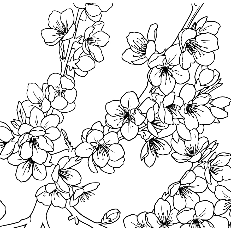 桃（桃の花）の塗り絵