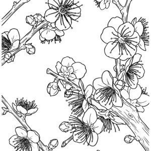 Free printable Plum 2 coloring page