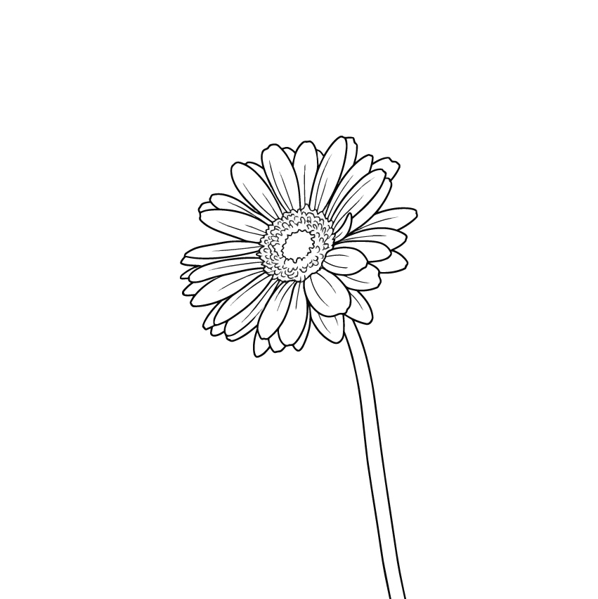 ガーベラの塗り絵