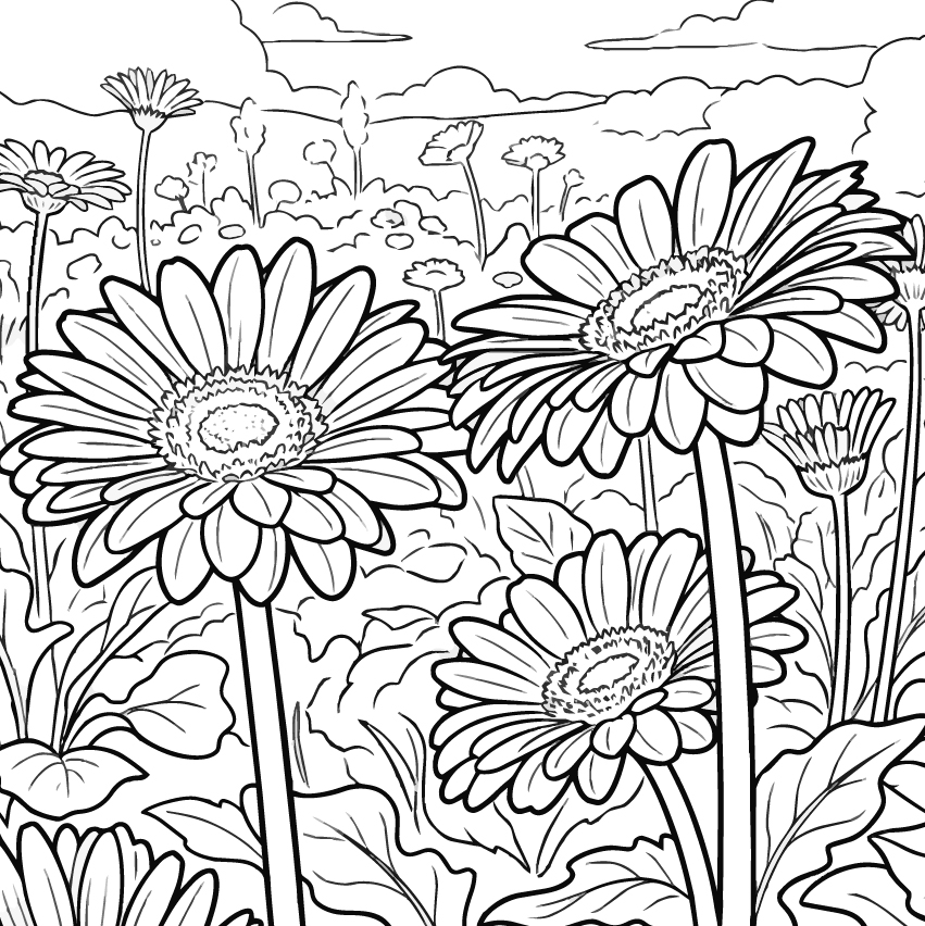 ガーベラの塗り絵