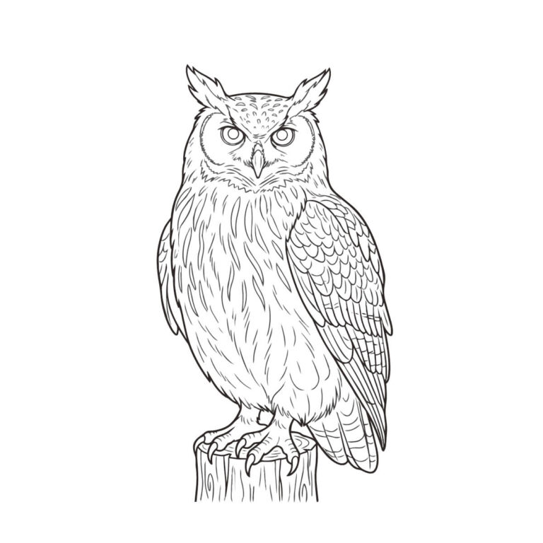 アメリカワシミミズクの無料塗り絵イラスト（知育・高齢者レク用）