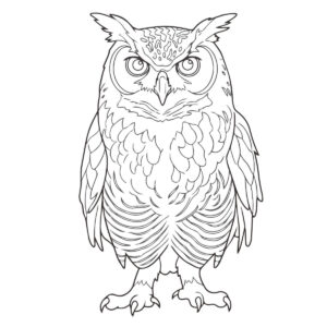 アメリカワシミミズク３の無料塗り絵イラスト（知育・高齢者レク用）