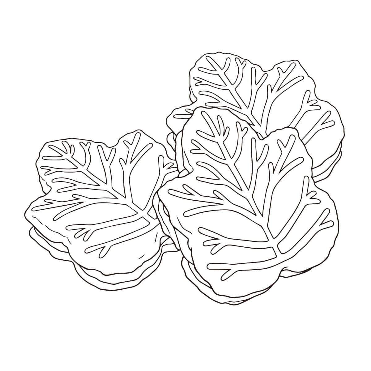 メープルクッキー