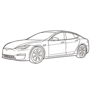 モデルSの無料塗り絵イラスト（知育・高齢者レク用）