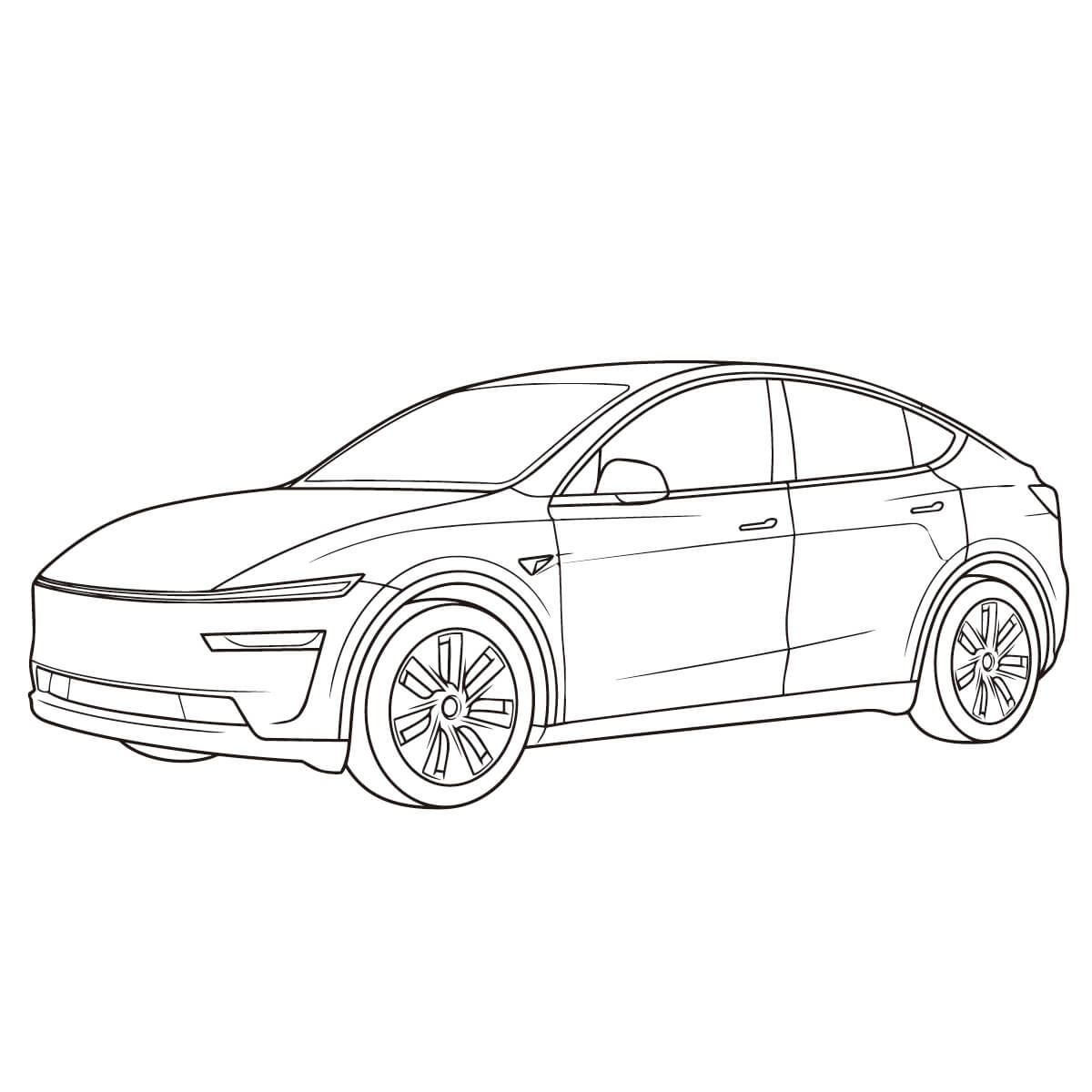 モデルY　ジュニパー