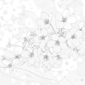 Free printable Cherry blossom 4 coloring page