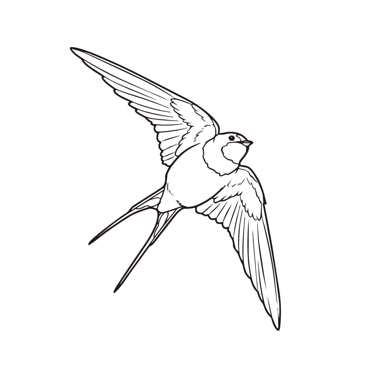 燕 (ツバメ)の塗り絵