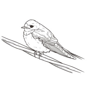 止まっているツバメの無料塗り絵イラスト（知育・高齢者レク用）