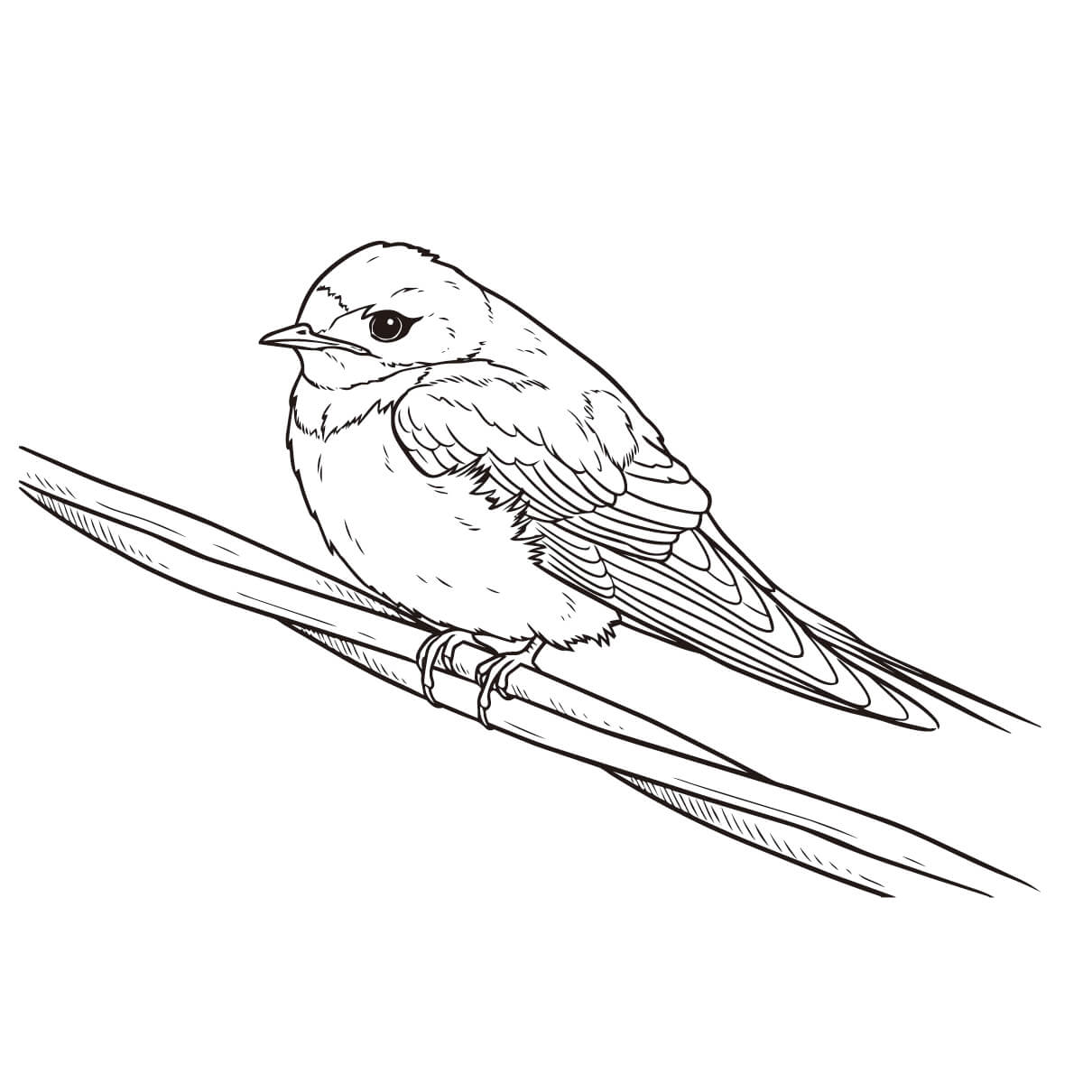 止まっているツバメ