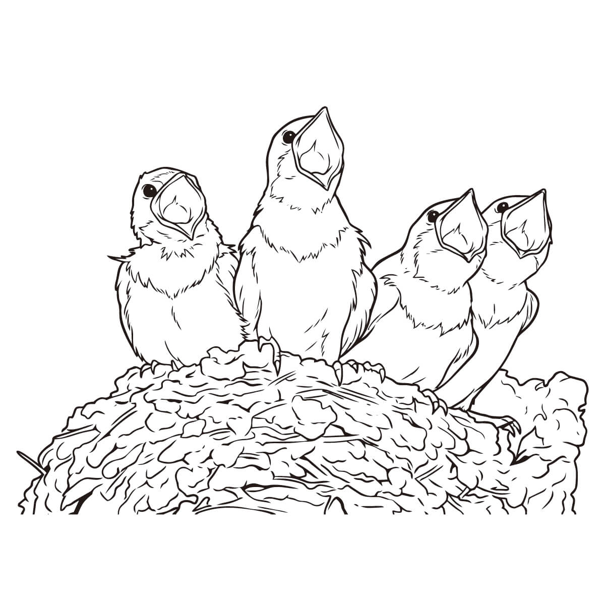 餌を待つツバメのヒナ