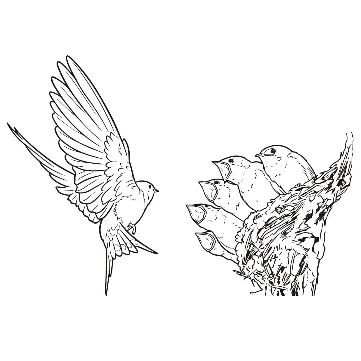 燕 (ツバメ)の塗り絵