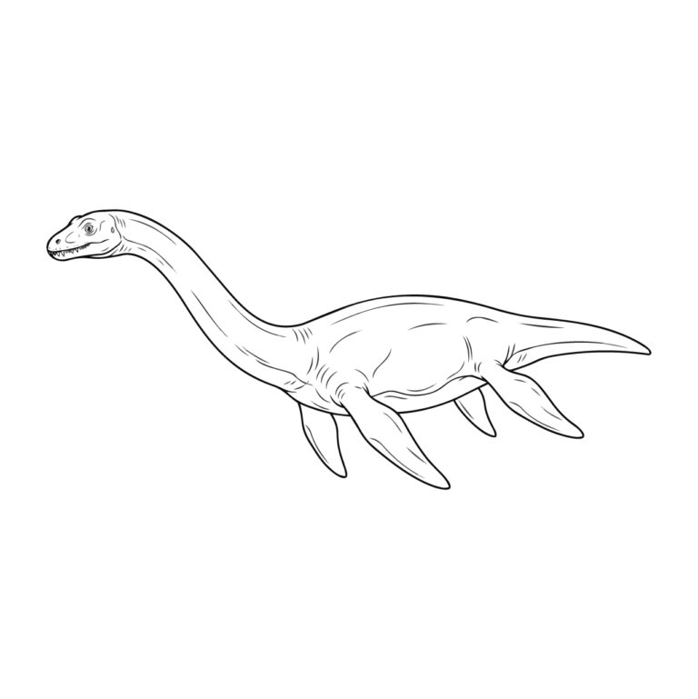 フタバスズキリュウの無料塗り絵イラスト（知育・高齢者レク用）