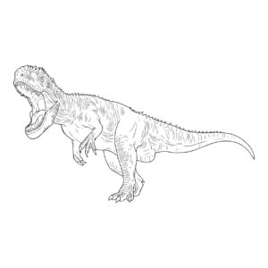 ギガノトサウルス３の無料塗り絵イラスト（知育・高齢者レク用）