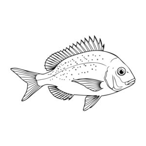 真鯛の無料塗り絵イラスト（知育・高齢者レク用）