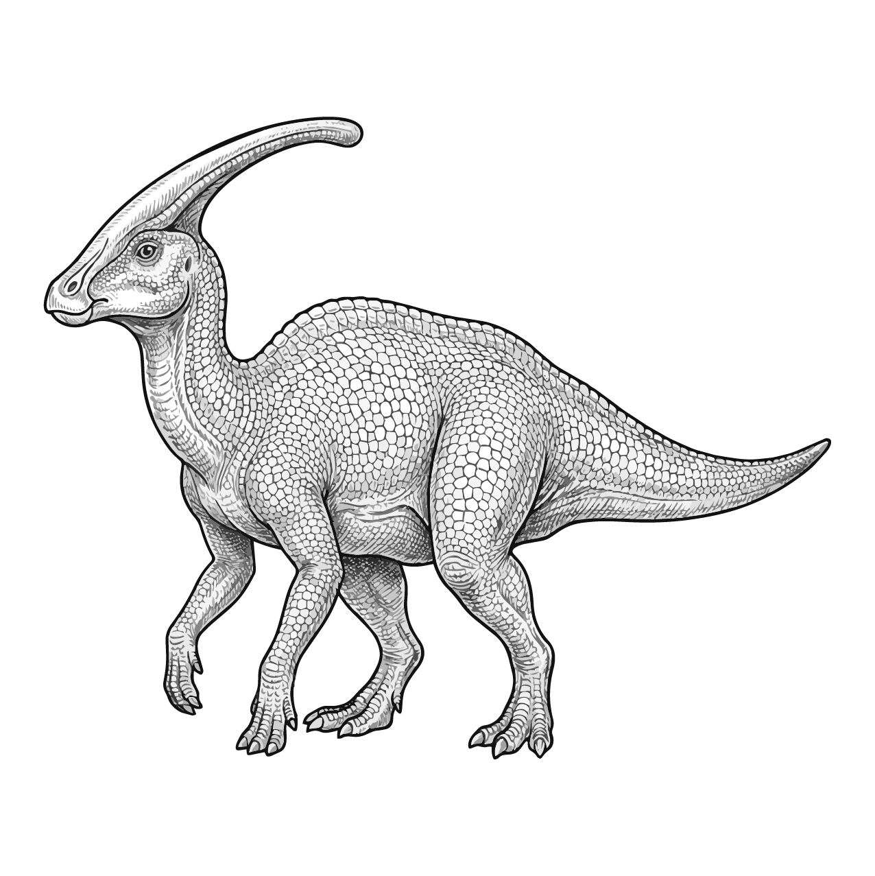 パラサウロロフスの塗り絵