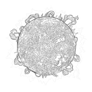 太陽の無料塗り絵イラスト（知育・高齢者レク用）