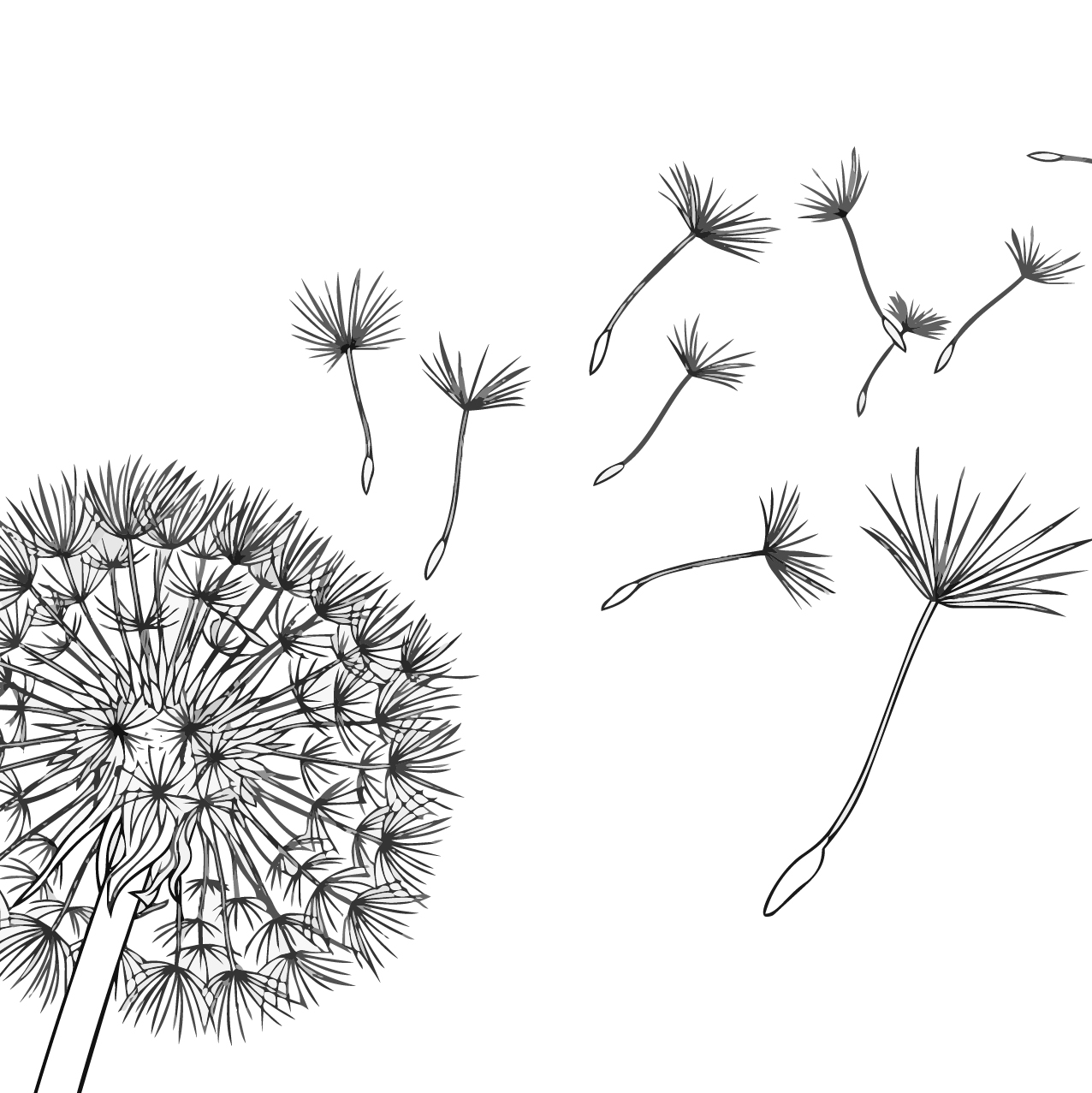 たんぽぽの塗り絵