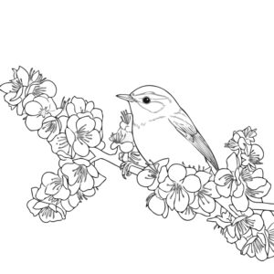 Free printable Japanese bush warbler coloring page