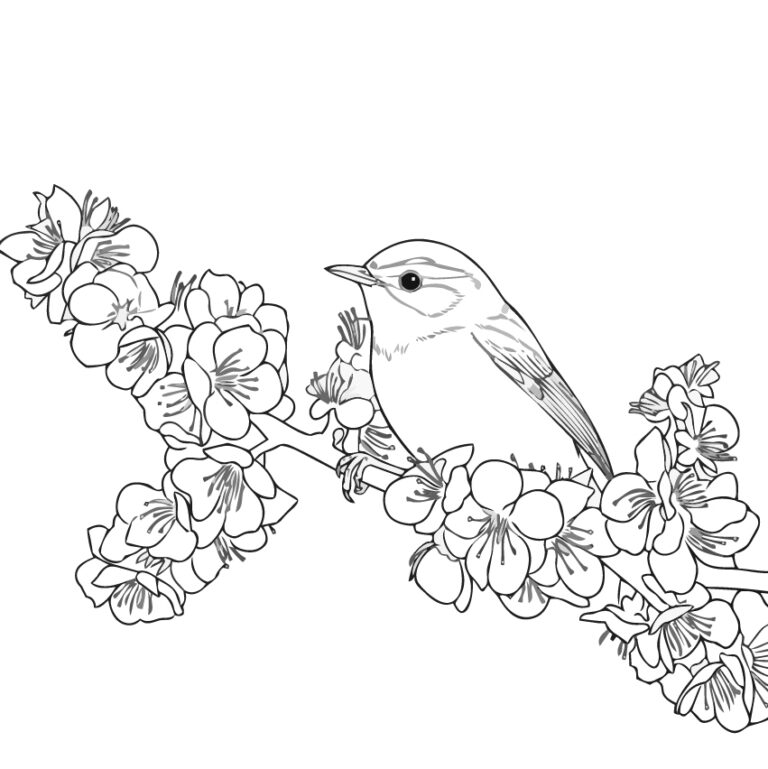 ウグイスの無料塗り絵イラスト（知育・高齢者レク用）