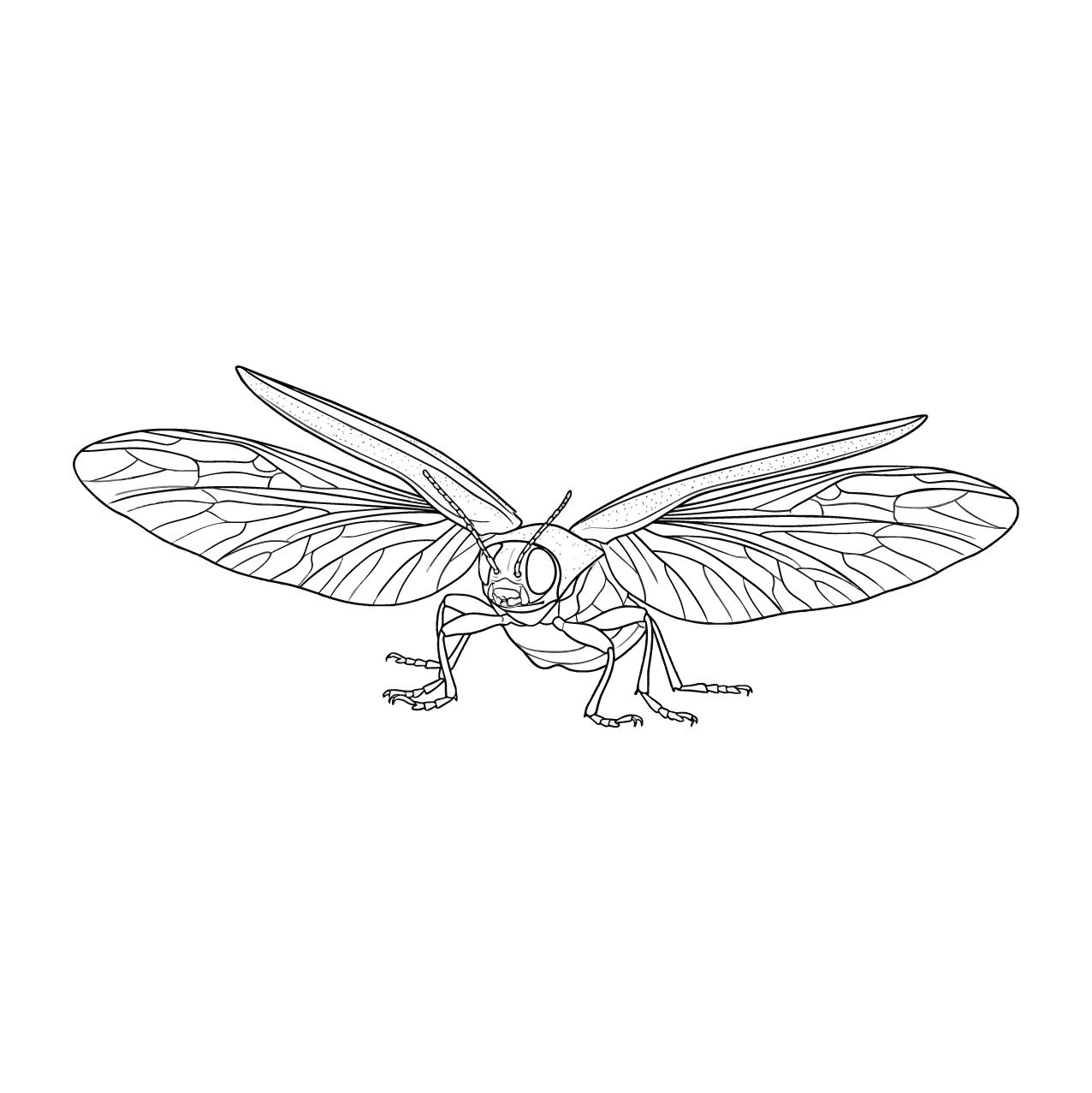 ヤマトタマムシ３