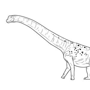 アルゼンチノサウルスの無料塗り絵イラスト（知育・高齢者レク用）